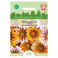 Thompson & Morgan Mittagsgoldblume 'Tiger Stripes'