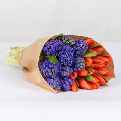 Schnittblumen-Mix aus 20 orangenen Tulpen & 9 blauen Hyazinthen Schnittblumen-Mix aus 20 orangenen Tulpen & 9 blauen Hyazinthen