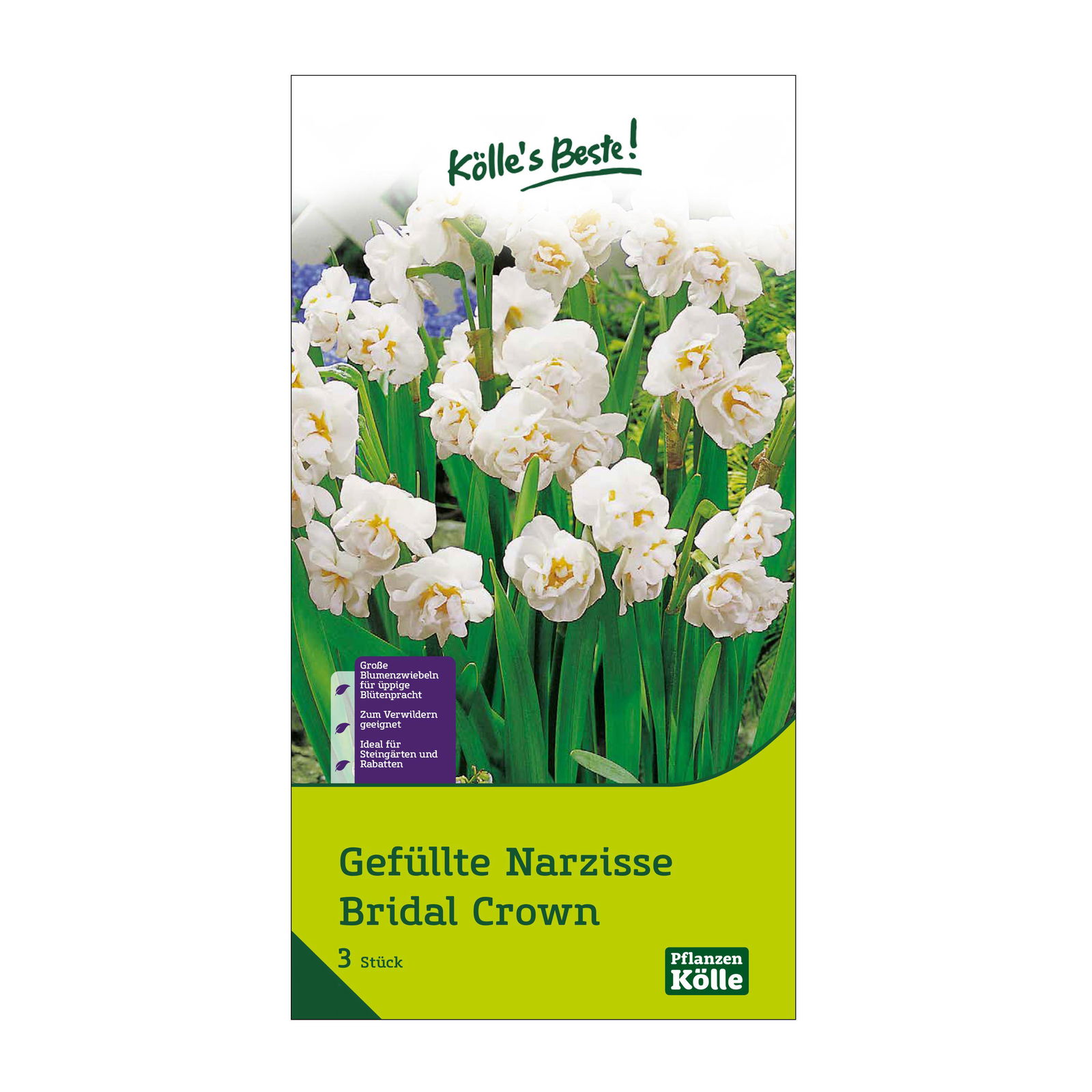 Gefüllte Narzisse 'Bridal Crown', gelb/weiß, 3 Blumenzwiebeln