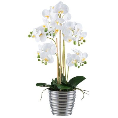 Kunstpflanze Phalaenopsis, weiß/silber, Höhe ca. 62 cm Kunstpflanze Phalaenopsis, weiß/silber, Höhe ca. 62 cm