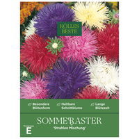 Kölles Beste Blumensamen, Sommeraster 'Strahlen Mischung'