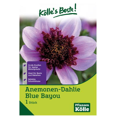Anemoon Dahlie 'Blue Bayou', blau, Größe 1, 1 Blumenknolle Anemoon Dahlie 'Blue Bayou', blau, Größe 1, 1 Blumenknolle