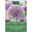 Allium Aflatunense (Iranlauch) purpur, 5 Blumenzwiebeln Allium Aflatunense (Iranlauch) purpur, 5 Blumenzwiebeln