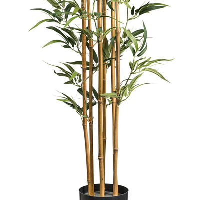 Künstlicher Bambus, Höhe ca. 155 cm Künstlicher Bambus, Höhe ca. 155 cm