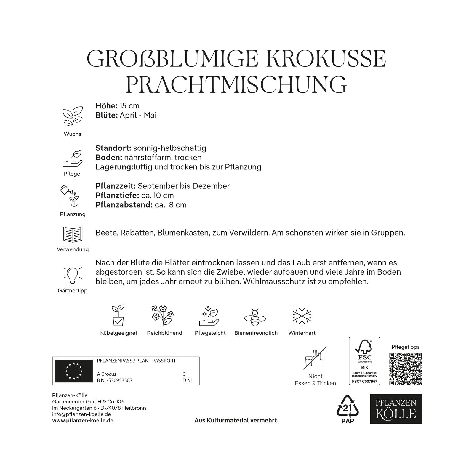 Großblumige Krokusse Prachtmischung 100 Blumenzwiebeln