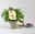 Duftgeranie 'Freshfruity® Mosquito Fighter', Topf-Ø 12 cm, 6 Pflanzen