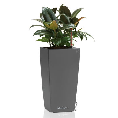 Lechuza 'Maxi-Cubi', anthrazit, ca. 14 x 14 x H 26 cm