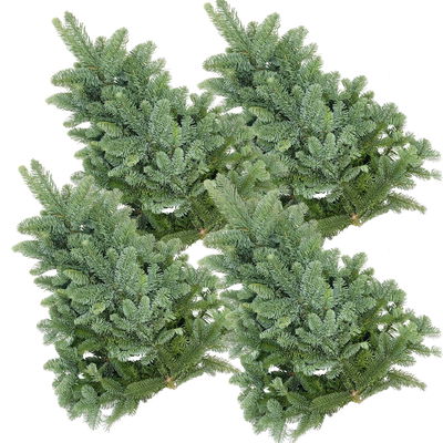 Nobilis Tannenzweige im Handbund, Länge 50-60 cm, ca. 1 kg, 4 Bund