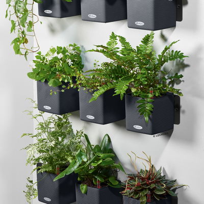 Lechuza 'Green Wall Home Kit Color', schiefergrau, ca. 48 x 15 x H 14 cm