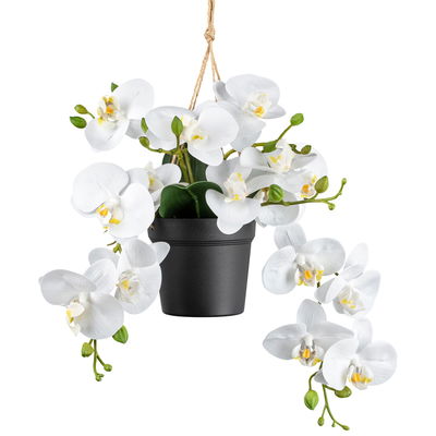 Künstlicher Phalaenopsis, weiß, Höhe ca. 25 cm Künstlicher Phalaenopsis, weiß, Höhe ca. 25 cm