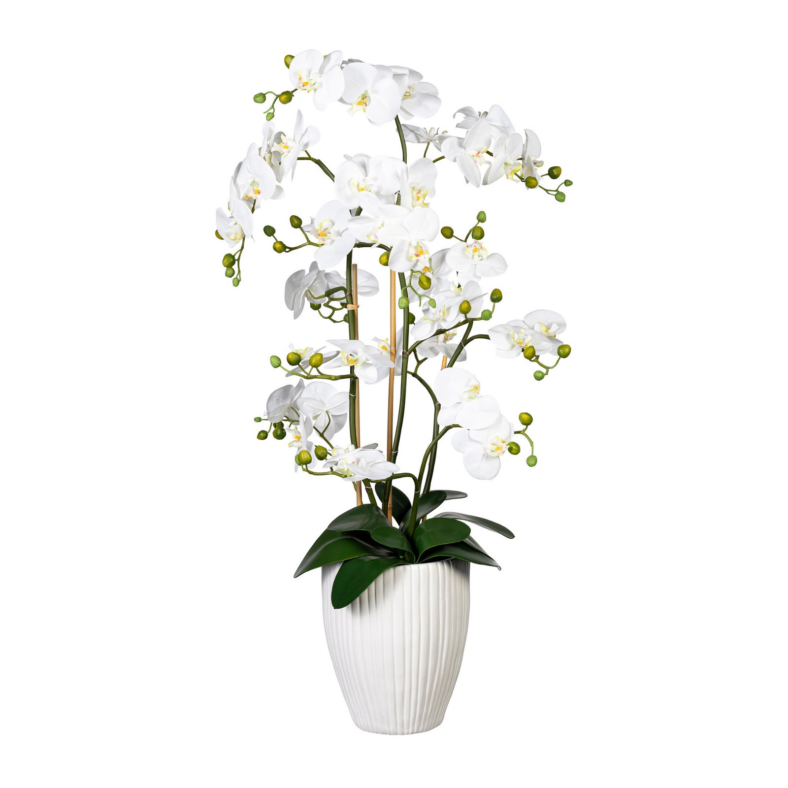 Kunstpflanze Phalaenopsis mit zwölf Trieben online kaufen | Pflanzen-Kölle | Kunstzweige