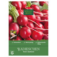 Kölles Beste Saatband Radieschen 'Ester', rot