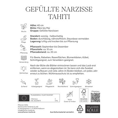 XXL Gefüllte Narzissen Tahiti gelb/orange, 5 Blumenzwiebeln XXL Gefüllte Narzissen Tahiti gelb/orange, 5 Blumenzwiebeln