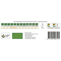 Gefranste Tulpen Queensland rosa, 7 Blumenzwiebeln