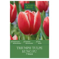 Triumph Tulpen 'Kung Fu', rot, 7 Blumenzwiebeln