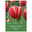 Triumph Tulpen 'Kung Fu', rot, 7 Blumenzwiebeln Triumph Tulpen 'Kung Fu', rot, 7 Blumenzwiebeln