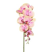 Kunstpflanze Orchideenzweig, grünrosa, ca. 87 cm, 2 Stück