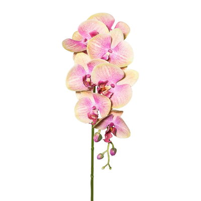 Kunstpflanze Orchideenzweig, grünrosa, Höhe ca. 87 cm, 2 Stück
