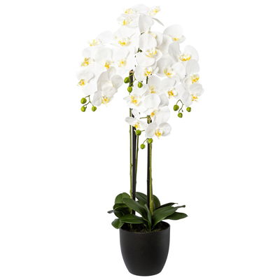 Kunstpflanze Phalaenopsis, weiß, Höhe ca. 99 cm Kunstpflanze Phalaenopsis, weiß, Höhe ca. 99 cm