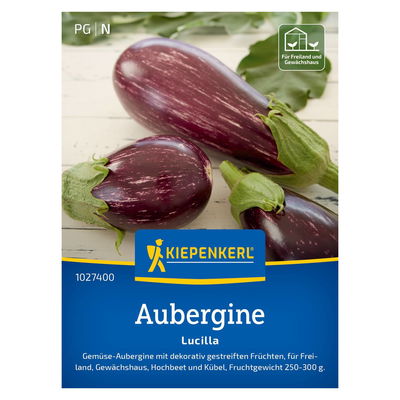 Auberginensamen, Aubergine 'Lucilla' Auberginensamen, Aubergine 'Lucilla'