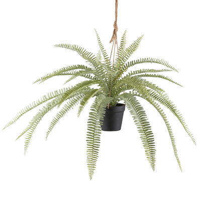 Kunstpflanze Boston-Farn , Höhe ca. 80 cm Kunstpflanze Boston-Farn , Höhe ca. 80 cm