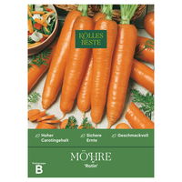 Kölles Beste Gemüsesamen, Möhre 'Rotin'