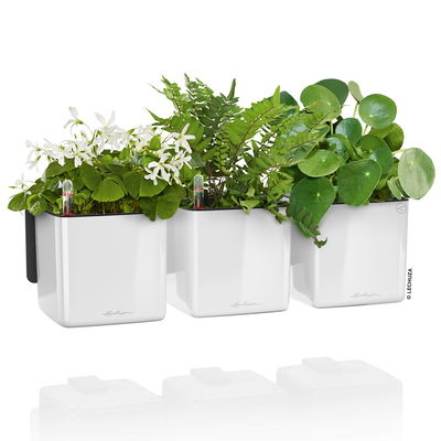 Lechuza 'Green Wall Home Kit Glossy', weiß highgloss, ca. 48 x 15 x H 14 cm Lechuza 'Green Wall Home Kit Glossy', weiß highgloss, ca. 48 x 15 x H 14 cm