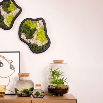 Moosbild organische Form, mit schwarzem Rahmen, groß, ca. 36 x 30 cm