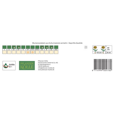 Kölles Beste Blumenzwiebeln zum Verwildern Mischung, 100 Blumenzwiebeln