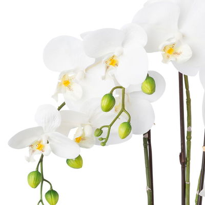 Kunstpflanze Phalaenopsis, weiß, Höhe ca. 55 cm