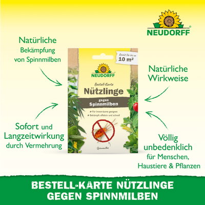 Neudorff Bestell-Set Nützlinge gegen Spinnmilben, für bis zu 10 m² Neudorff Bestell-Set Nützlinge gegen Spinnmilben, für bis zu 10 m²