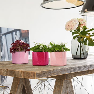 Lechuza 'Cube Glossy Kiss 14', Sweet Candy Highgloss Glitter Lechuza 'Cube Glossy Kiss 14', Sweet Candy Highgloss Glitter