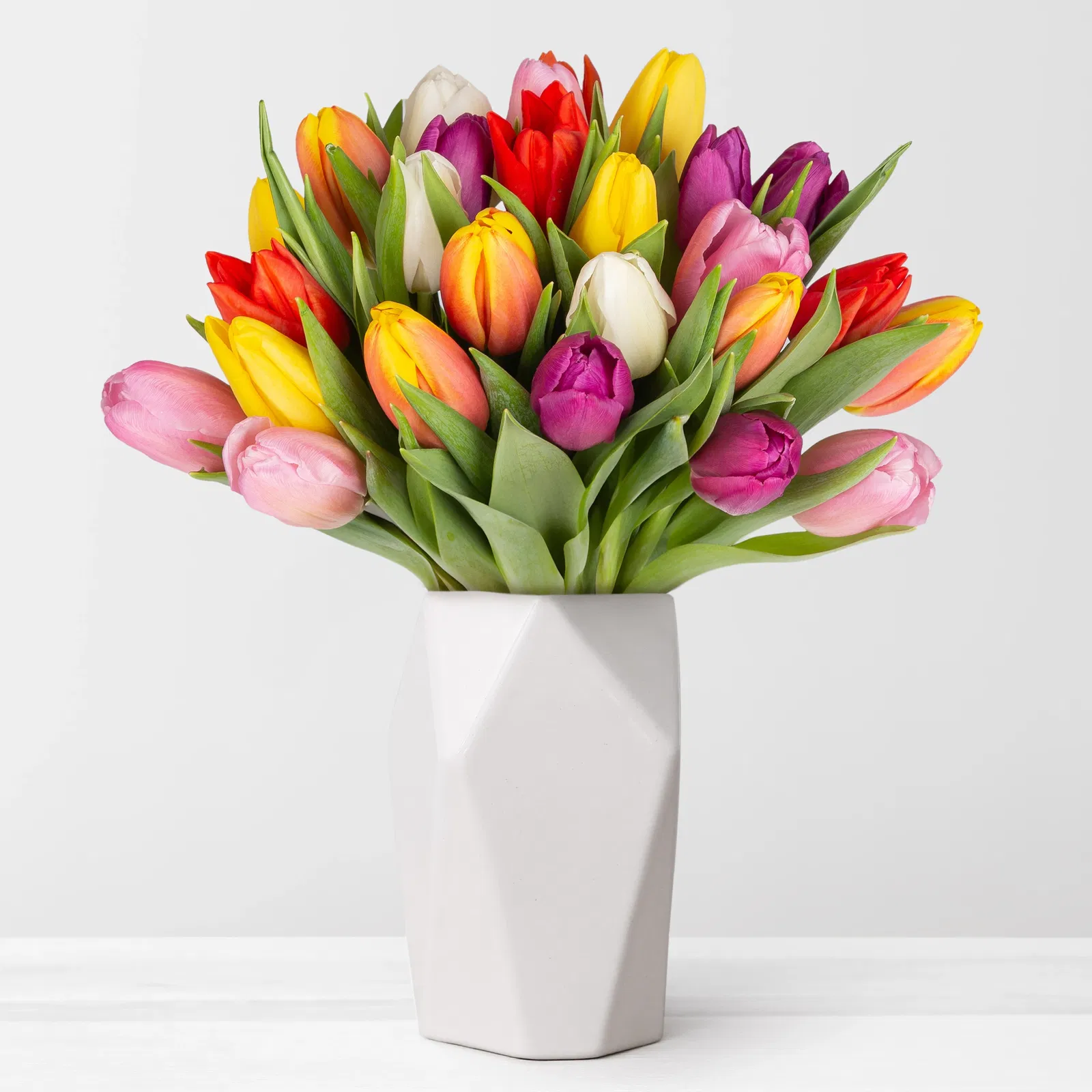 Tulpen bunt