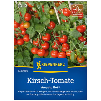 Kiepenkerl Saatgut Kirschtomate 'Ampelo Rot®', rot Kiepenkerl Saatgut Kirschtomate 'Ampelo Rot®', rot