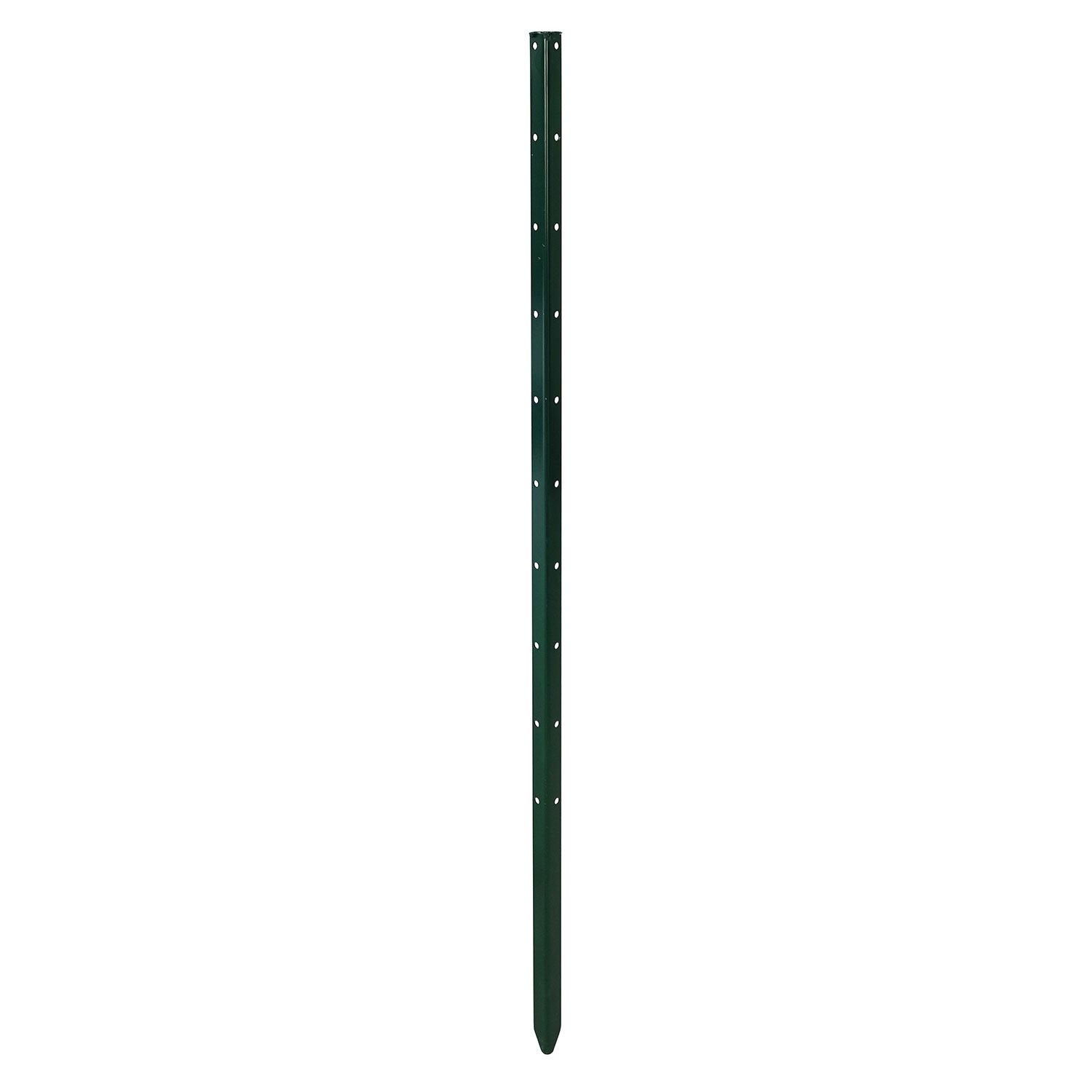 Pflanzstab 'Timo', grün, H100 x B3 cm