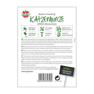Blumensamen, Katzenminze 'Blauer Kater' Blumensamen, Katzenminze 'Blauer Kater'