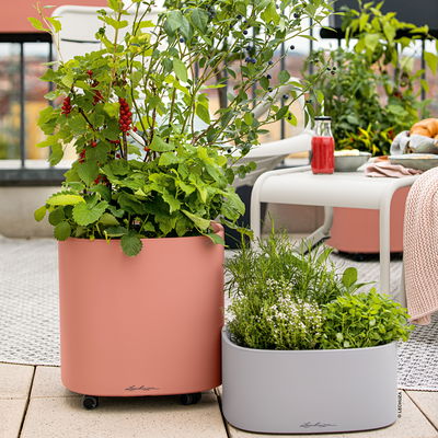 Lechuza 'Pila Color Planter', korallrot, ca. 35 x 35 x H 32,5 cm