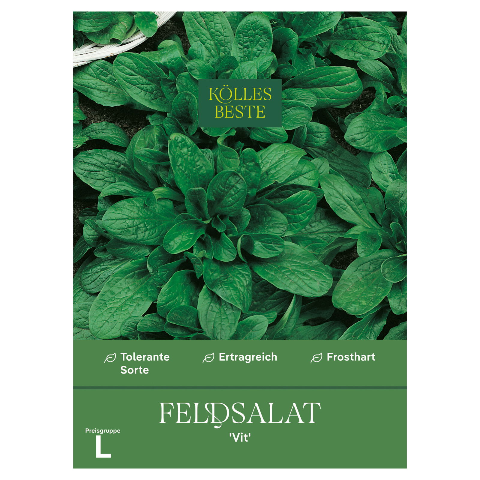 Kölles Beste Gemüsesamen, Feldsalat 'Vit'