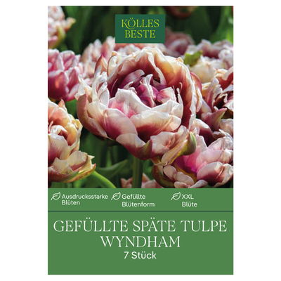 gefüllte Tulpen 'Wyndham', rot, weißer Rand, Größe 11/12, 7 Blumenzwiebeln gefüllte Tulpen 'Wyndham', rot, weißer Rand, Größe 11/12, 7 Blumenzwiebeln