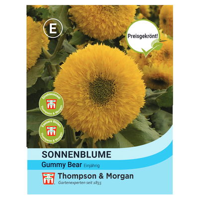 Thompson & Morgan Sonnenblume 'Gummy Bear®', gelb Thompson & Morgan Sonnenblume 'Gummy Bear®', gelb