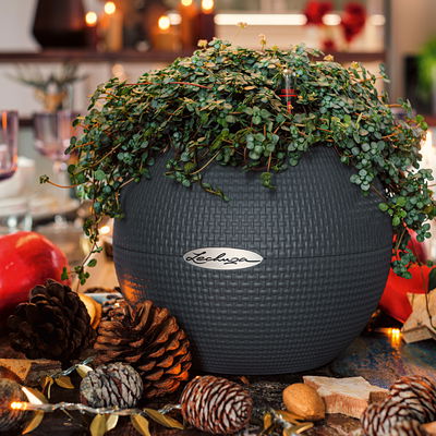 Lechuza 'Puro Color 20', schiefergrau, ca. Ø 20 x H 16 cm