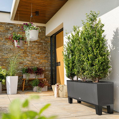 Lechuza Sockel für Trio 40, schwarz, ca. 126 x 38 x H 15 cm Lechuza Sockel für Trio 40, schwarz, ca. 126 x 38 x H 15 cm