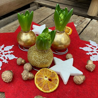 Hyazinthe in Wachs metallic gold, 4 Stück