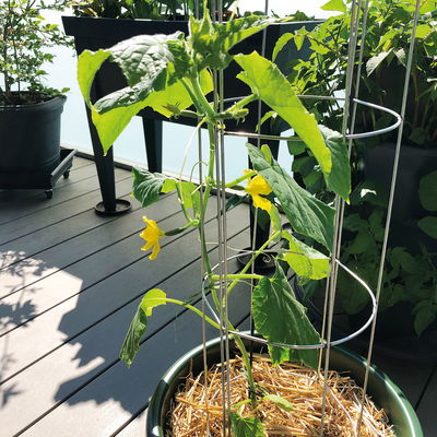 Gurkenturm, verzinkt, H120 x Ø20 cm