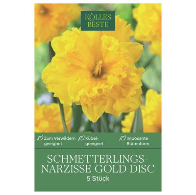 Schmetterling Narzissen Gold Disc, 5 Blumenzwiebeln Schmetterling Narzissen Gold Disc, 5 Blumenzwiebeln