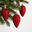 Glitter Zapfen, weihnachtsrot, Kunststoff, Höhe ca. 8 cm, 6er-Set Glitter Zapfen, weihnachtsrot, Kunststoff, Höhe ca. 8 cm, 6er-Set