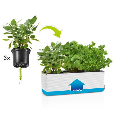 Lechuza 'Cube Color Triple', weiß, ca. 40 x 14 x H 14 cm