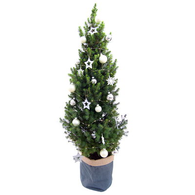 Weihnachtsbäumchen inkl. Deko, silber-weiß, Höhe 120 cm, Topf-Ø 26 cm Weihnachtsbäumchen inkl. Deko, silber-weiß, Höhe 120 cm, Topf-Ø 26 cm
