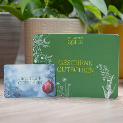Geschenkgutschein Geschenkgutschein