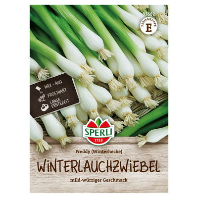 Sperli Gemüsesamen, Winterlauchwiebel 'Freddy Winterhecke'